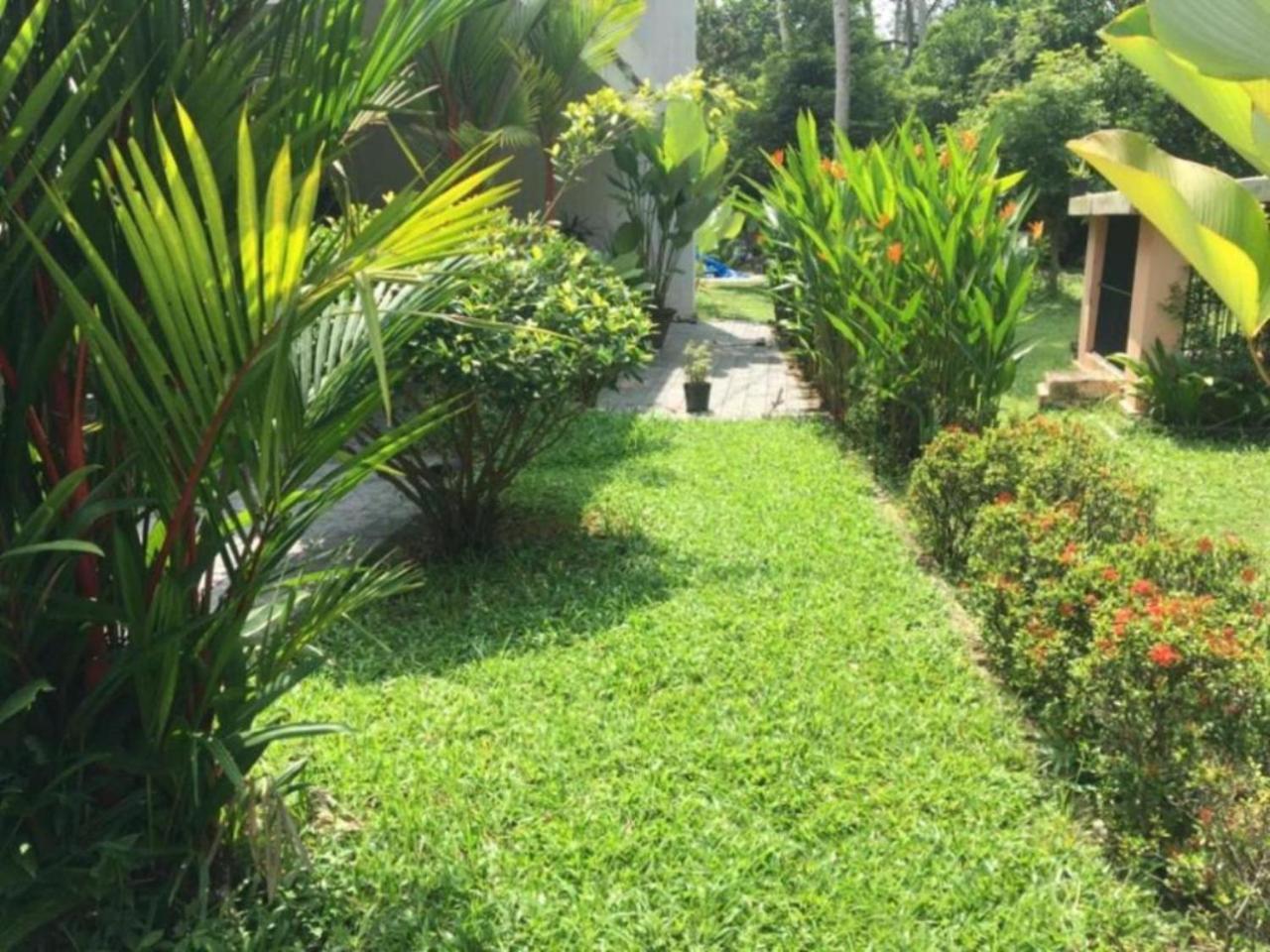 White Butterfly - A Countryside Homestay Thiruvananthapuram Eksteriør billede
